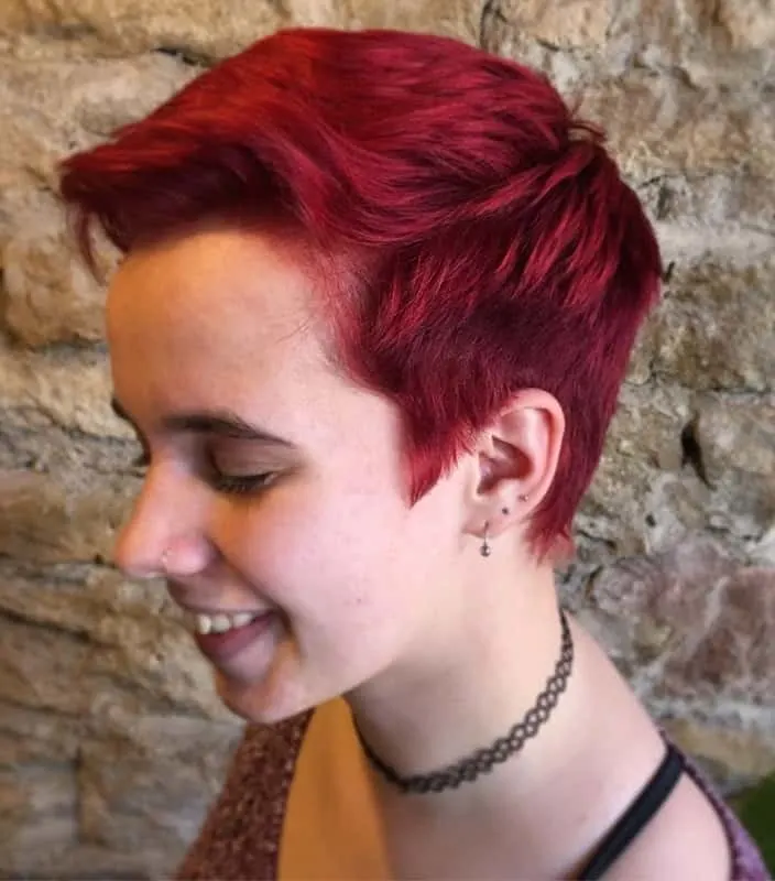 wine red pixie cur