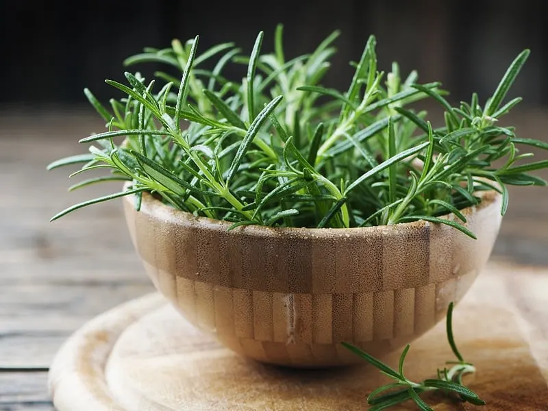 rosemary for dyeing hair