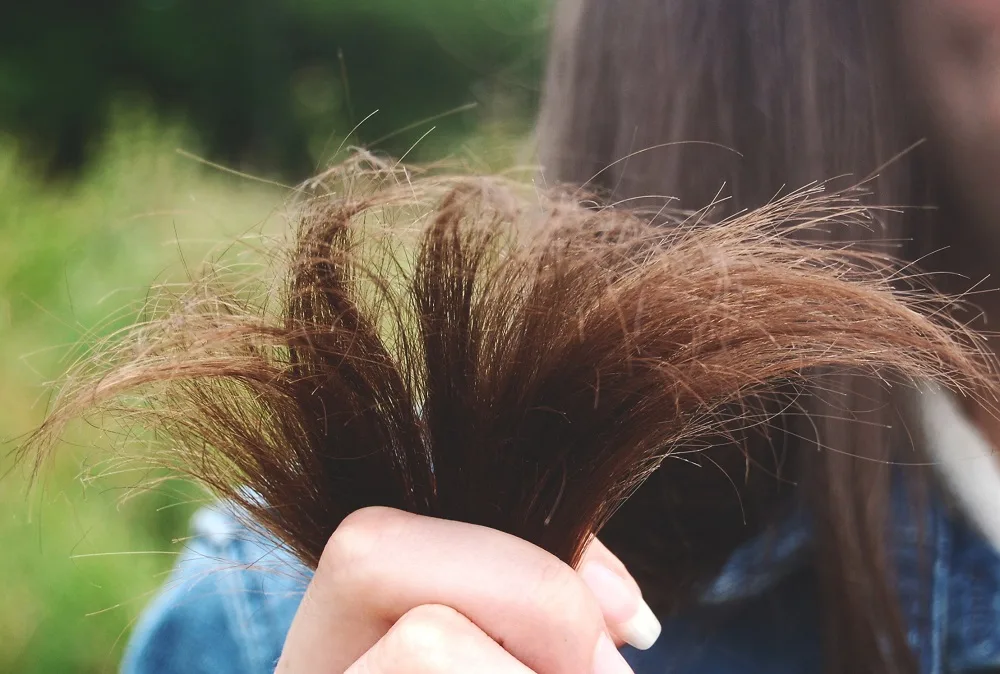 signs of losing hair - increased split ends