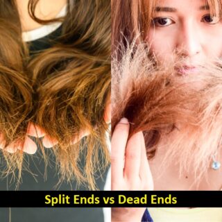 split vs dead ends