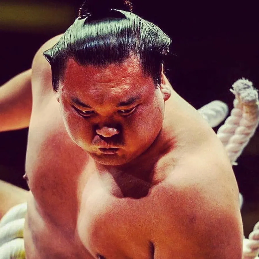 sumo wrestler Hakuhō Shō hairstyle