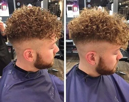 curly tapered Undercut hairstyle