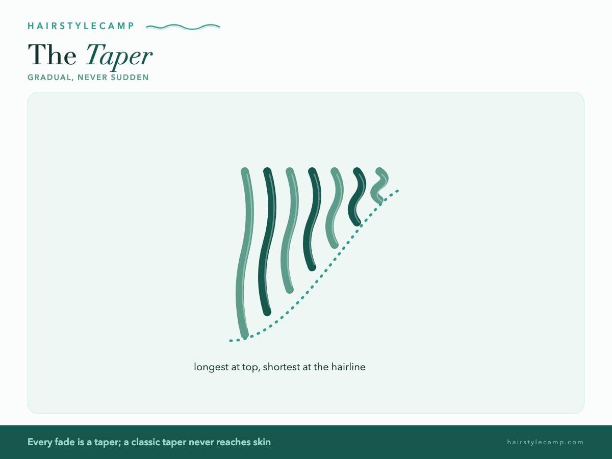Diagram of a taper: hair shortening gradually at the sides and nape