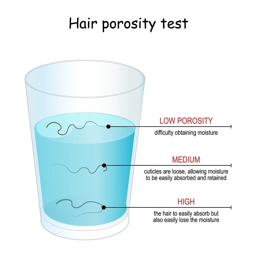 How To Determine Your Hair's Porosity