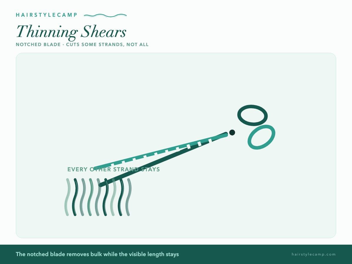 Illustration of thinning shears with a notched comb-like blade