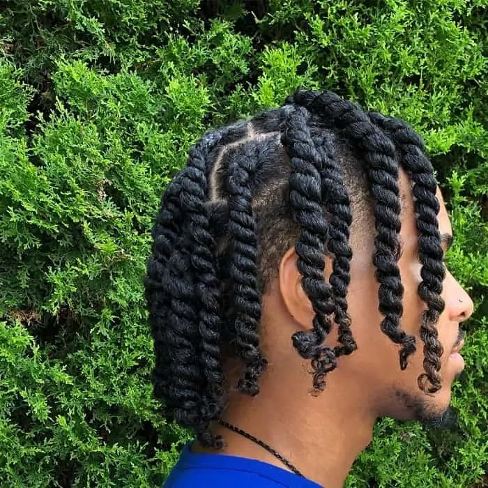 two strand twists male