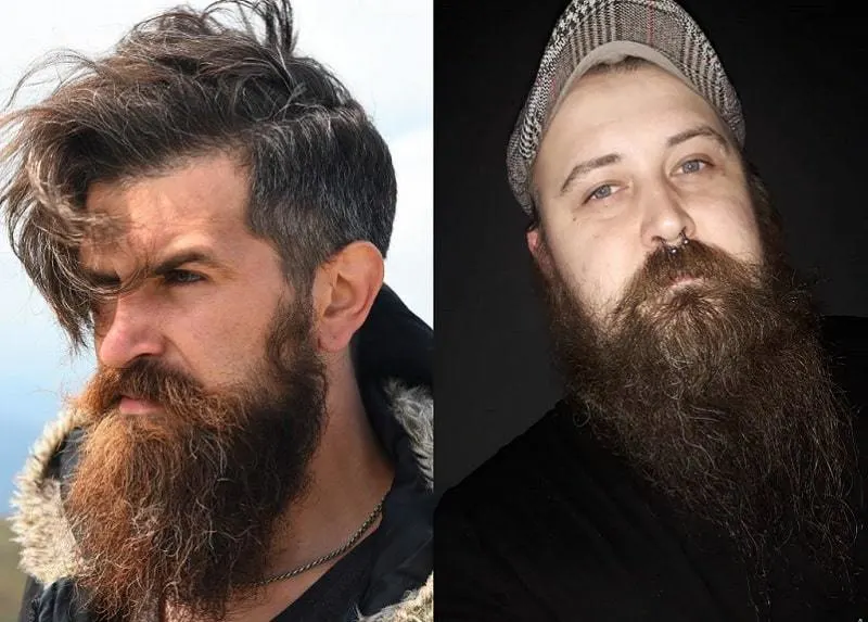 bushy viking beard