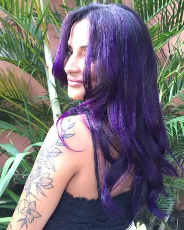 violet highlights on black hair