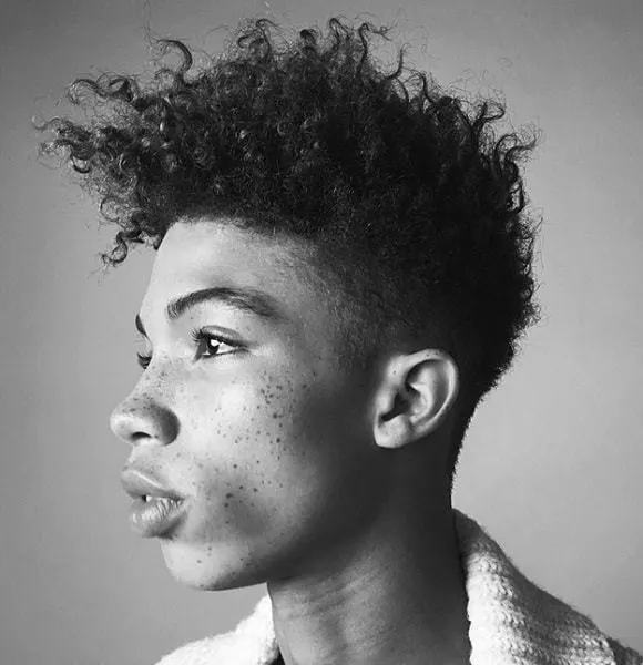 65 Popular Curly Hairstyles for Black Men Explained Best Haircuts