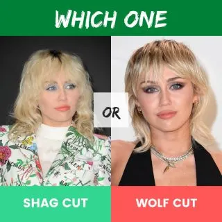 Wolf Haircut vs. Shag Haircut